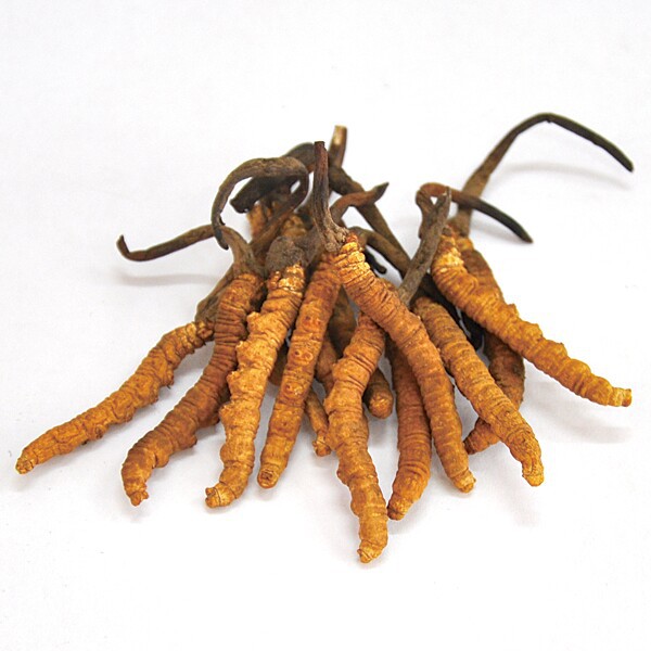 【青藏高原天然优质冬虫夏草 2012新品】