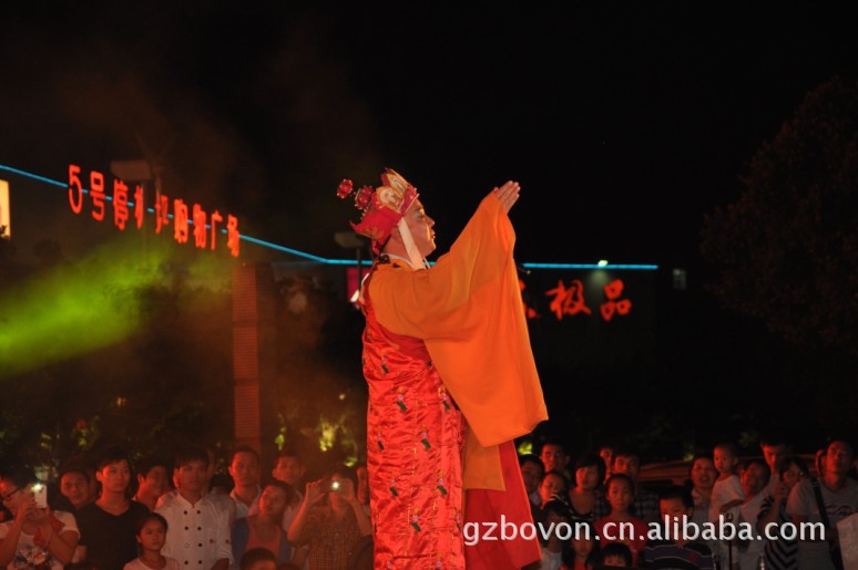 广告策划-大型活动晚会策划-纯颜美容慈善会特