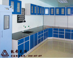 ������ֱ��-ChemFocus����Ӧʵ���ҼҾߨMȫľ���� ���ҹ�