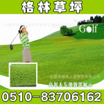 【厂家直供】销售热款型号G021 高尔夫果岭专用人造草