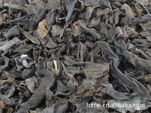 植物原药材-中药材紫金龙、紫金皮、紫荆皮、