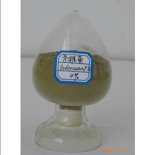 植物提取物-实力厂家常年直销4% 菊苣酸紫锥菊