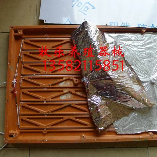 生产仔猪电热板 复合材料保温板 新型加热板 电