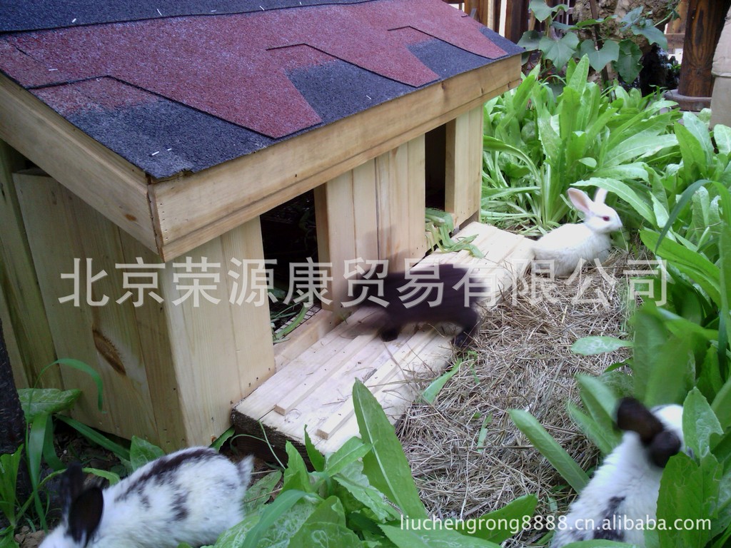 【兔子窝(笼)\/猫窝(笼)\/狗屋\/木制宠物屋\/可现场