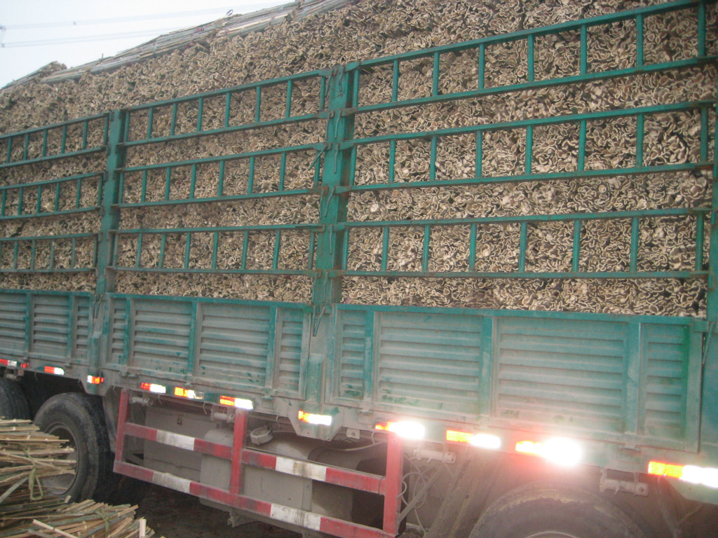 其他工地施工材料-苏州批发建筑,竹片,毛竹。竹