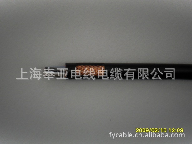 SDC10141