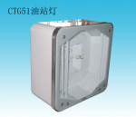 供应油站灯 防爆灯 加油站照明CTG51
