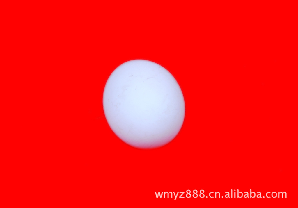 鹅-四川唯一一家种鹅养殖场,鹅选天宝。产蛋多