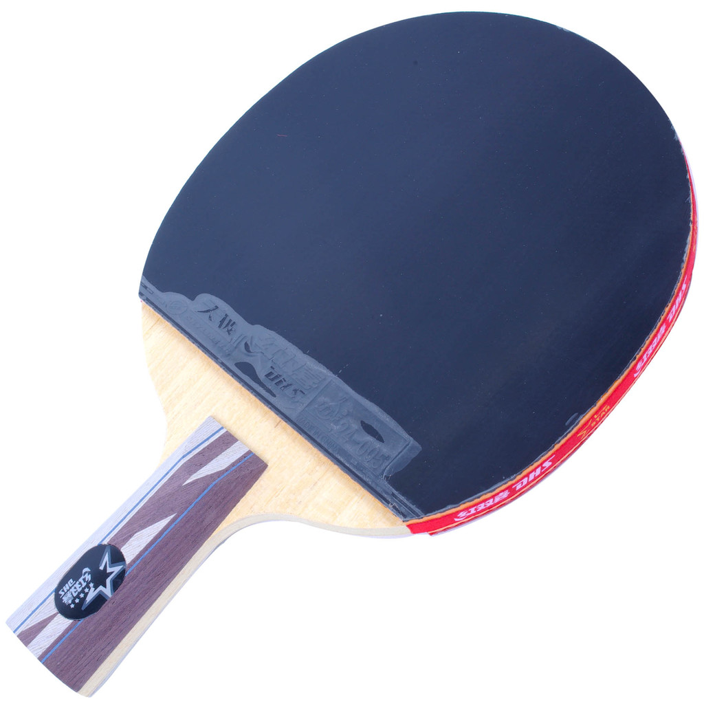 【红双喜直拍双面反胶乒乓球拍弧圈结合快攻5星送拍套X5006】价格,厂家,图片,乒乓球拍,北京天元启康体育用品有限公司-马可波罗网