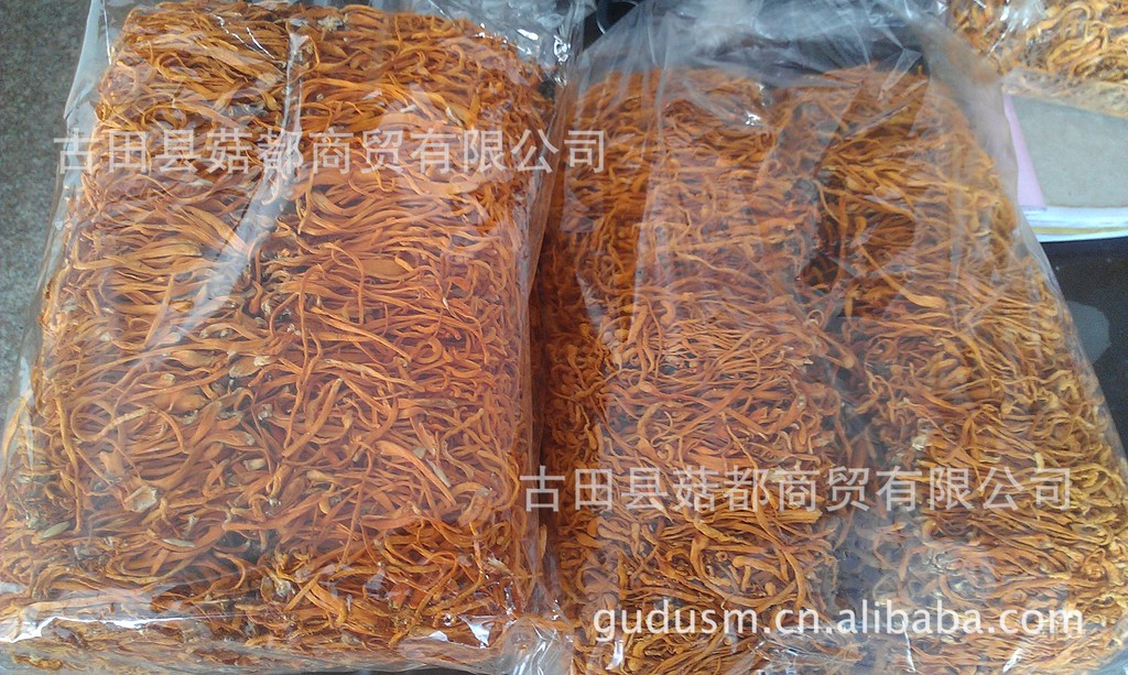 产地直销 批发供应 虫草花 排草 新货不断更新!