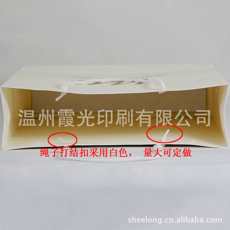 服装手提纸袋