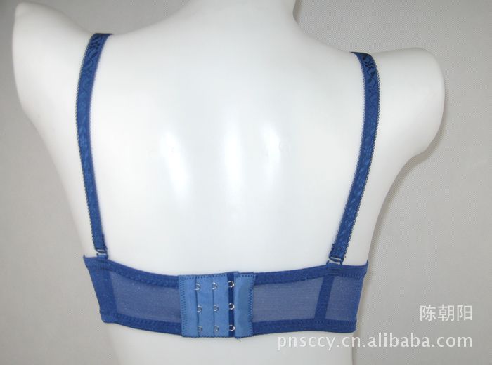 彩芙2013 A杯豹纹加厚超聚拢内衣<em>文胸后面</em>三