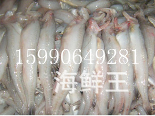 豆腐鱼,狗母鱼,虾潺,龙头鲓,豆腐鱼,细血,狗奶