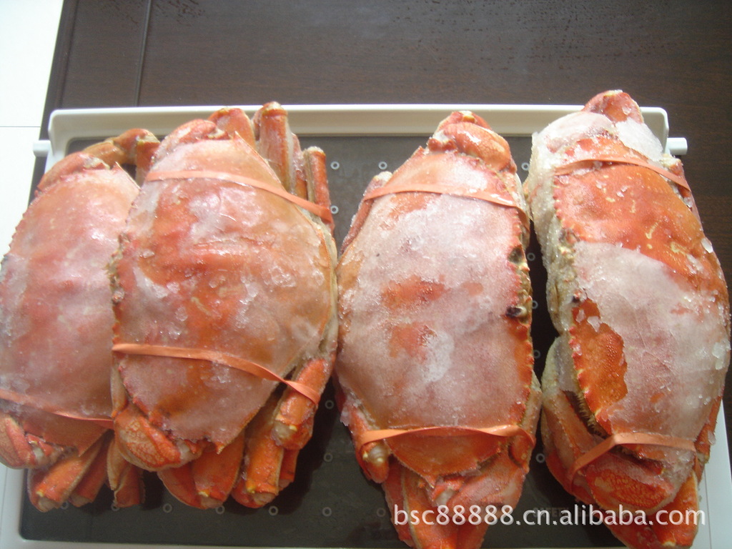 美国阿拉斯加大而多肉的珍宝蟹(dungeness crab)