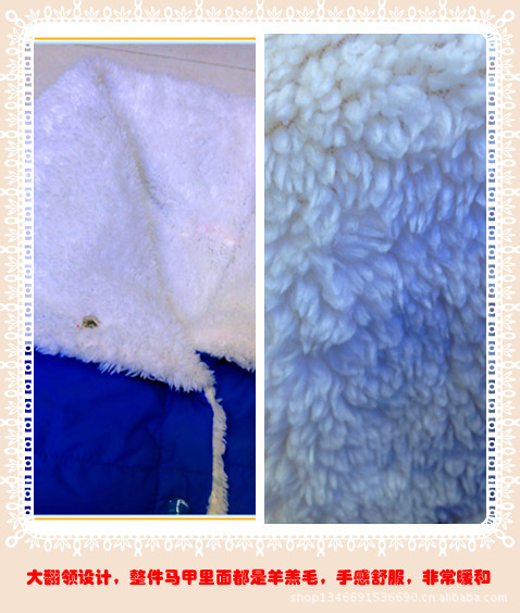 2012秋冬羊羔毛绒大翻领<em>马甲</em> 韩版百搭<em>女款毛</em>