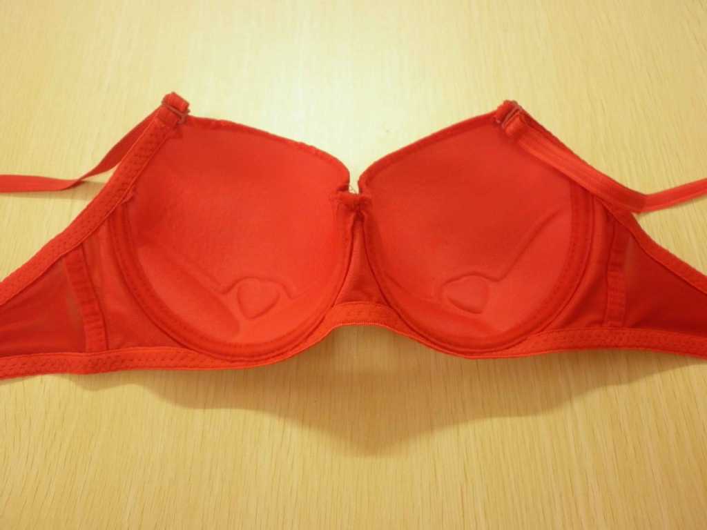 承接订单 爆款<em>胸罩</em> 花边丝带 聚拢<em>文胸</em> Coobie