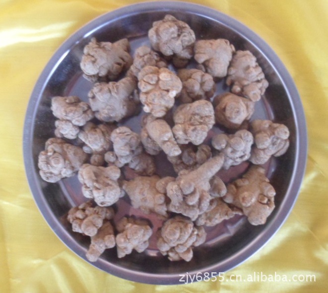 文山 三七 (30头) 图片_高清大图 - 阿里巴巴