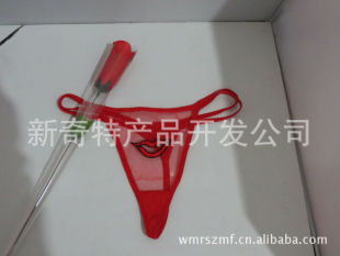 广东最新情人节礼品玫瑰花内裤送老婆情人惊喜