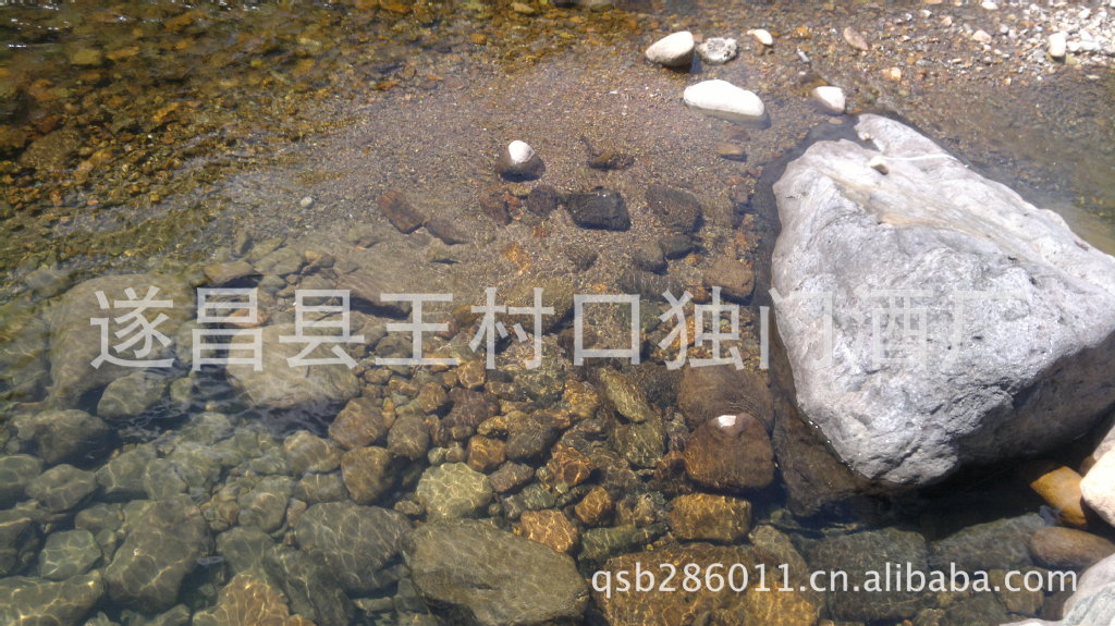 21082012339