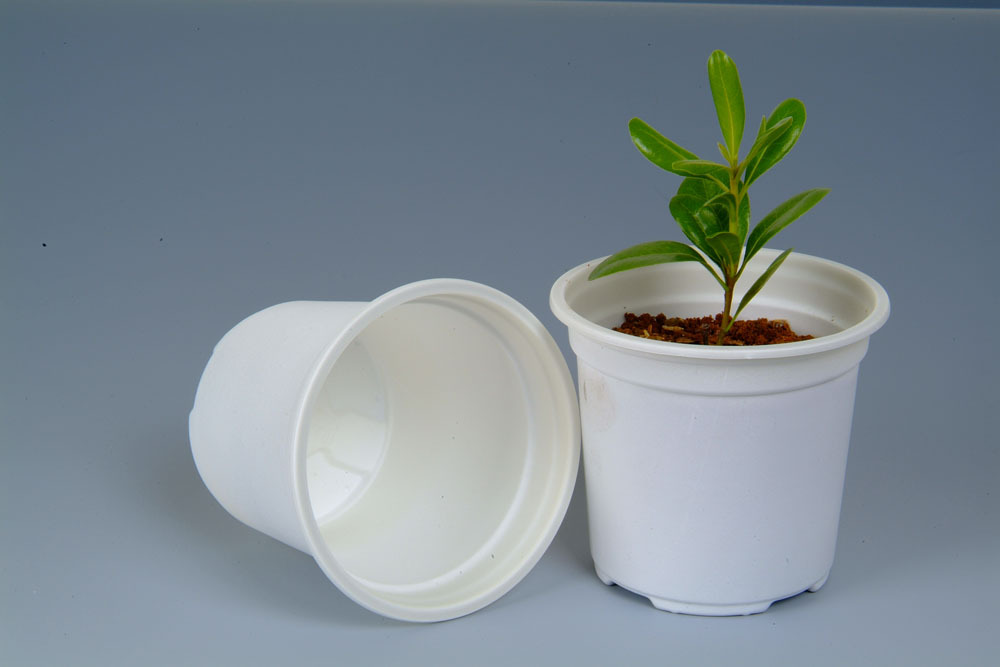 【绿色环保 生物降解 淀粉基塑料 可制作纸巾盒