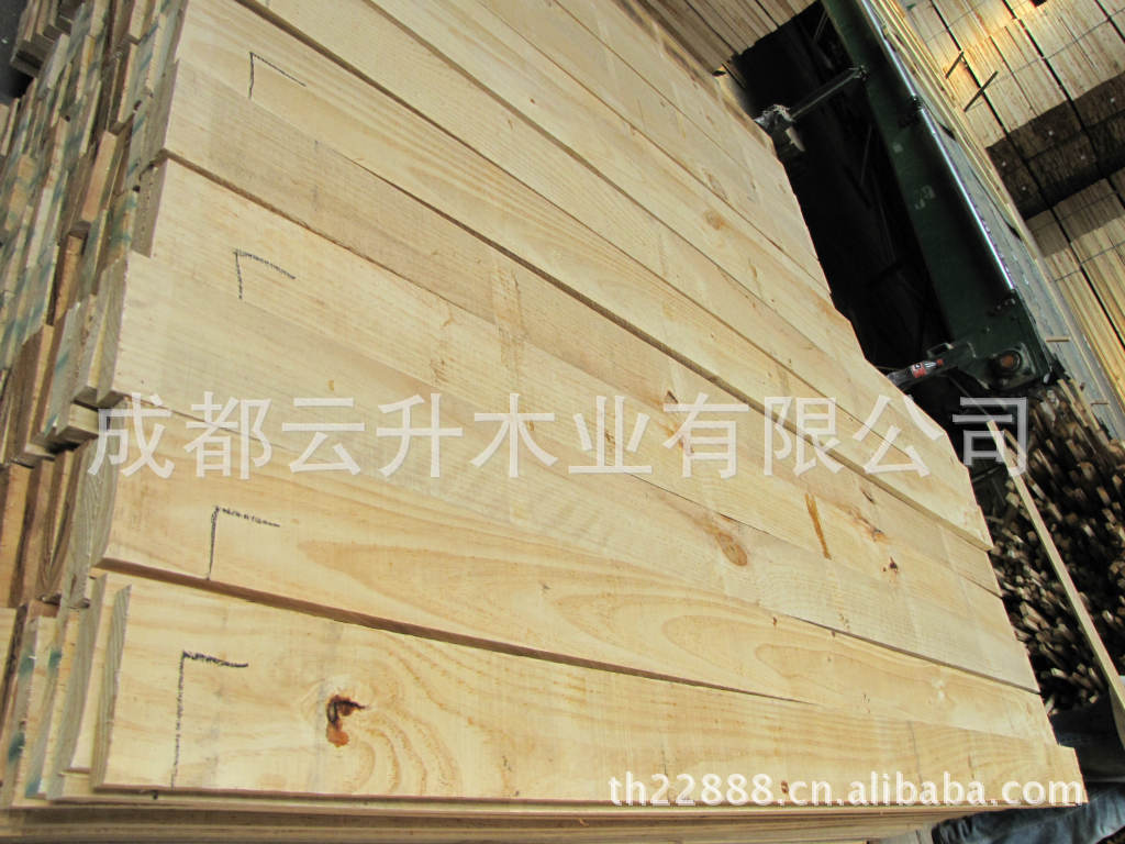 供應馬尾松。落葉松。青松。原木，烘干板，