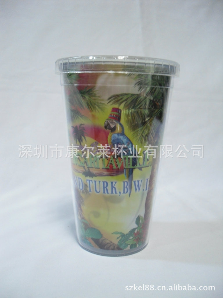 双层塑料杯 塑料吸管杯 环保材质