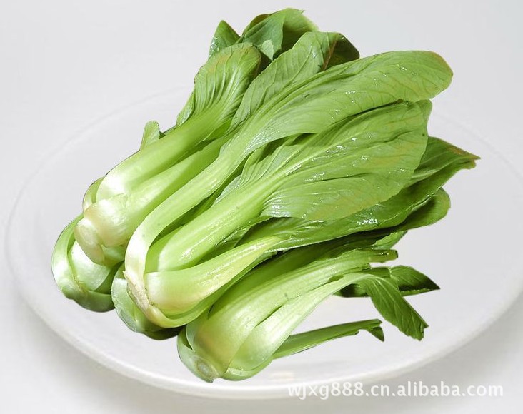 优质新鲜云南油麦菜 量大从优 原地批发-重庆蔬菜批发