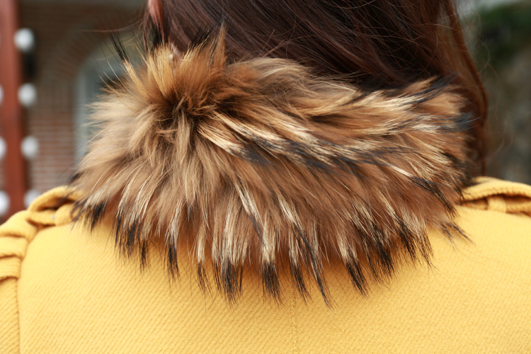 一件代发,韩版时尚女士秋装外套修身毛领毛呢