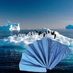 ��������Ʒ�๦�ܵ��˴���|������ [2F306]