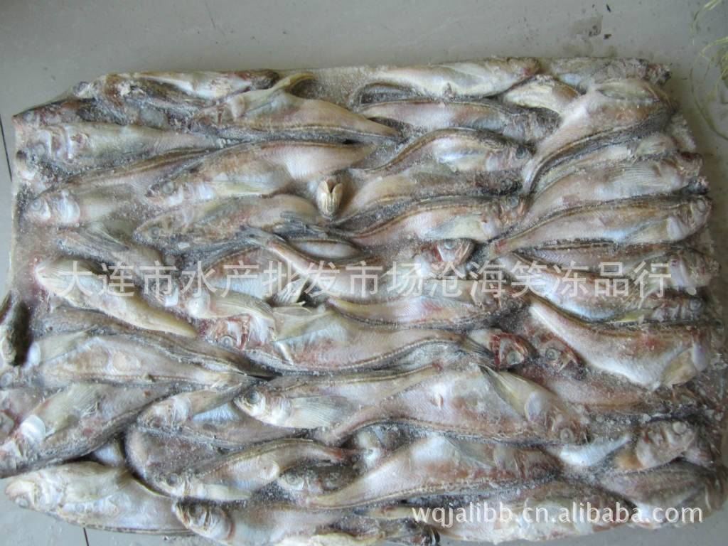 【冷冻粗加工水产品海鲜冻品雷鱼】价格,厂家
