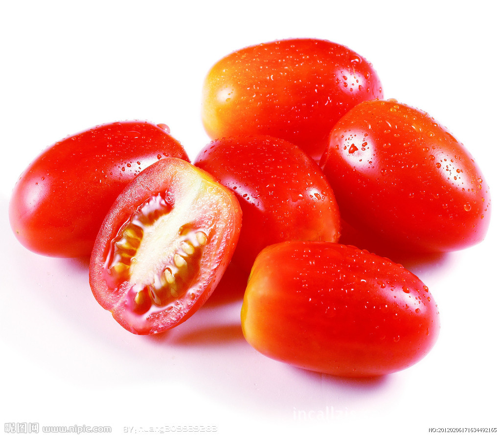 应蔬菜种子 水果种子 番茄 西红柿种子 红<em>圣女</em>果