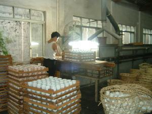 潮州市凤新明鸿瓷厂电话:86-768-2201618联到从小学幼儿园过渡图片