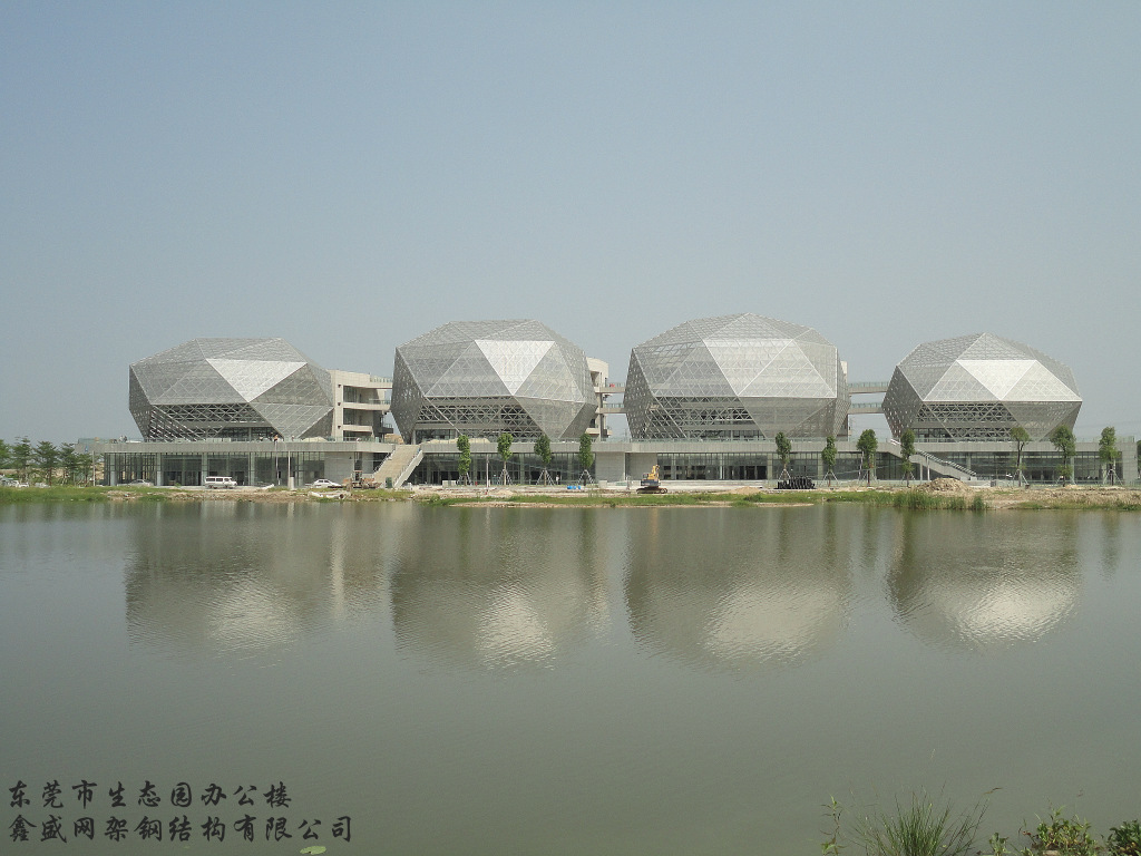 东莞生态园网架钢结构工程 _ 东莞生态园网架
