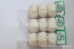 ��Ӧ���� 2011���ڼ� ���ʴ���  ��ͷ ���ż���