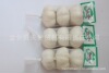 ��Ӧ���� 2011���ڼ� ���ʴ���  ��ͷ ���ż���
