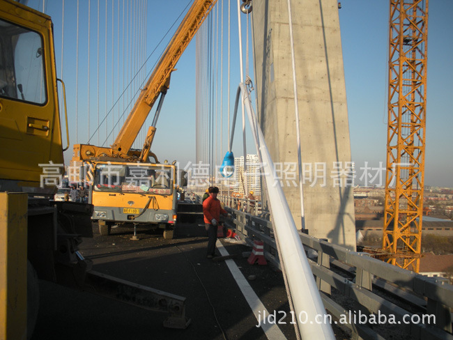 6米,8米,9米,10米,12米,13米、15米单臂路灯,专业厂家