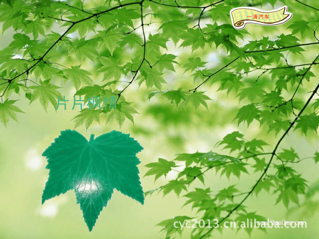 供应批发防滑垫 魔力枫叶防滑垫/汽车内饰用品 汽车防滑垫