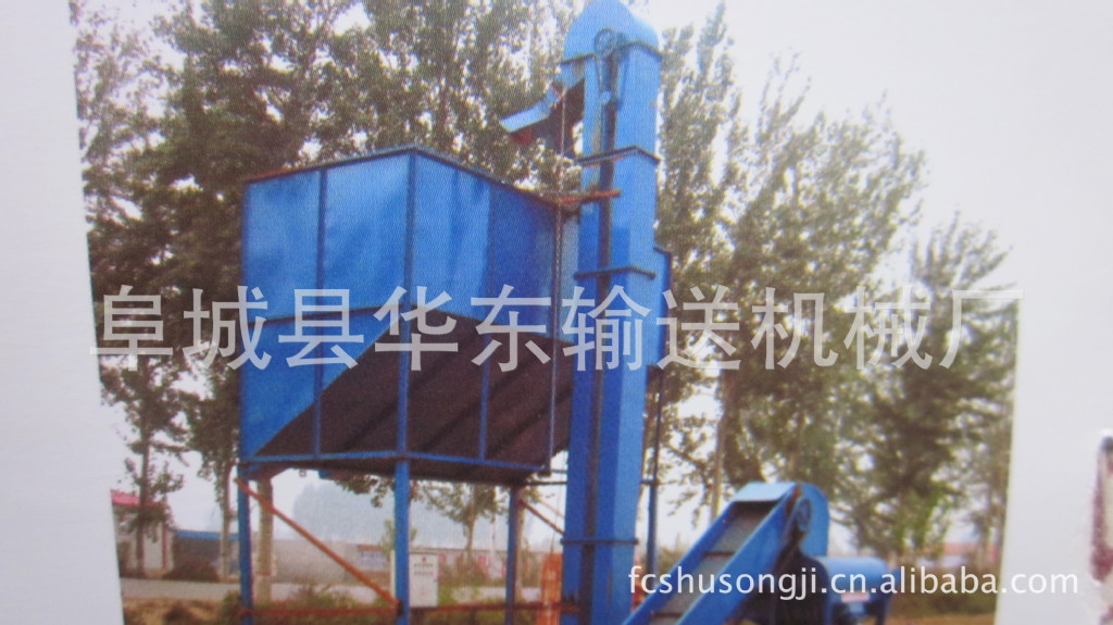 照片 285
