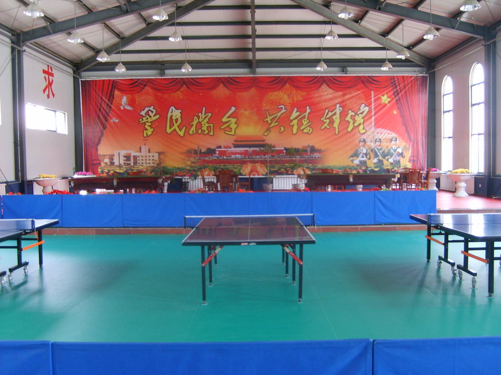 其他地板-供应室内运动场地练习型弹性地胶 塑