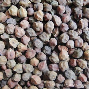 【黑鹰嘴豆】黑鹰嘴豆价格\/图片_黑鹰嘴豆批发