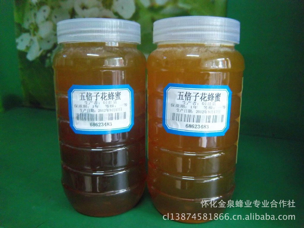 2013年新鲜五倍子蜂蜜特价销售 野生蜂蜜 纯天