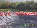 纳基膨润土防水毯.供应广东防水毯.建筑施工用防水毯