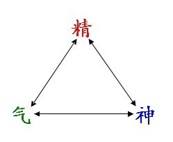 再谈甘地肠炎疗法的核心原理_甘地肠炎疗法