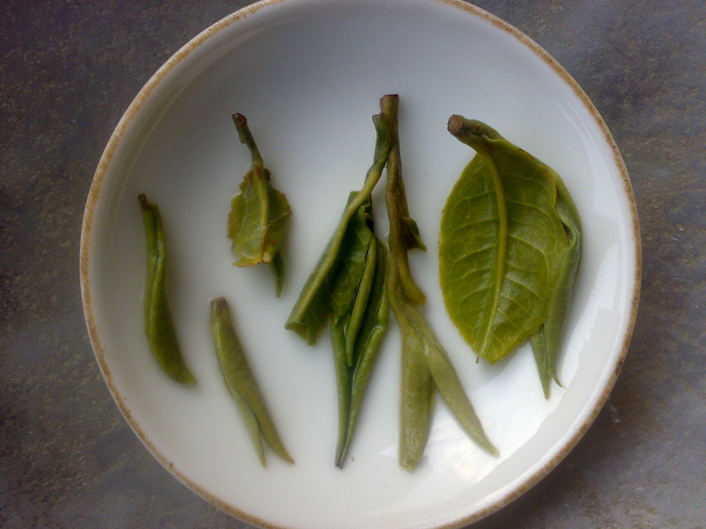 绿茶-【2013年绿茶批发】云南最珍贵的新春大