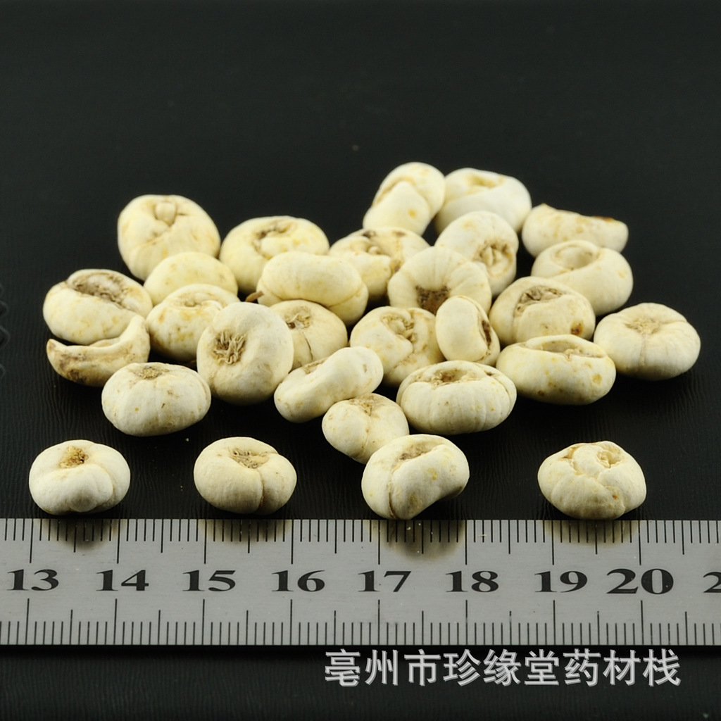 平贝 亳州药都贝母专营店\/川贝\/平贝\/浙贝\/伊贝