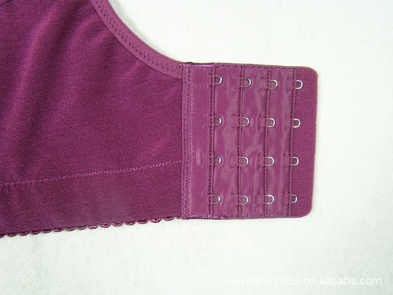 2012秋冬<em>文胸</em>新款 紫色<em>纱</em>网刺绣薄模杯<em>文胸</em> S