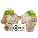 DIY种植悠嘻猴 草娃娃 桌面园艺青草种植 办公室摆件 居家小礼品