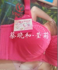 【厂家直销2012秋冬款最新款<em>莹莉文胸</em>A杯型珍
