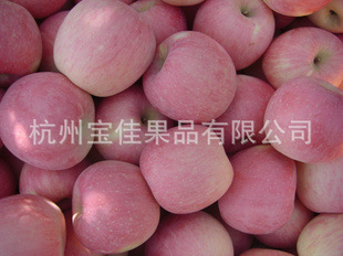 【优质直销】供应香脆可口红富士苹果