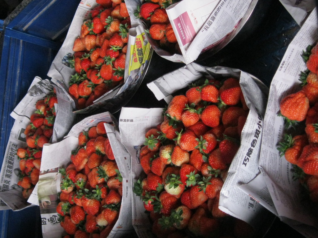 江苏海门新鲜草莓基地品种齐全图片,江苏海门